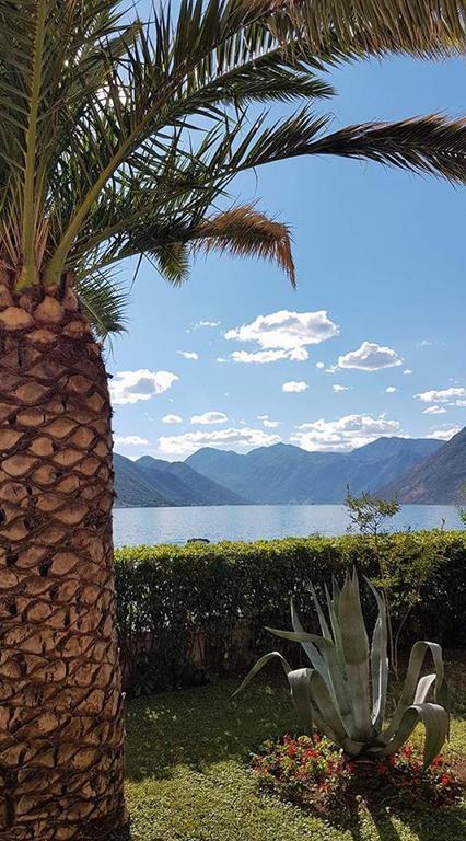 Maniva Apartment Kotor